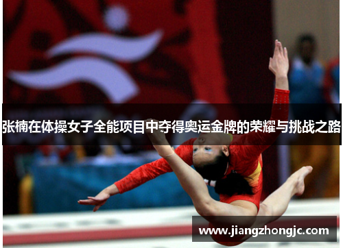 张楠在体操女子全能项目中夺得奥运金牌的荣耀与挑战之路